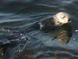 2008_06_24_091.JPG