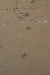 2009_06_30_021.JPG