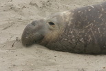 2009_06_30_031.JPG