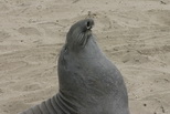 2009_06_30_037.JPG