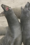 2009_06_30_065.JPG