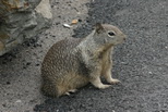 2009_06_30_072.JPG
