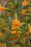 2009_07_01_007.JPG