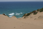 2009_07_01_023.JPG