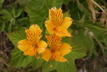 2009_07_03_010.JPG
