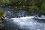 2009_07_08_031.JPG