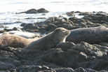 2009_07_14_050.JPG