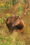 2009_07_14_064.JPG