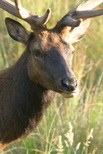 2009_07_14_072.JPG