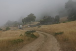 2009_07_15_003.JPG