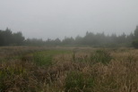 2009_07_15_028.JPG