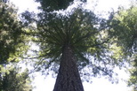 2009_07_16_018.JPG