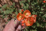 2010_06_02_048.JPG