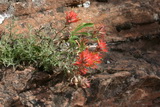 2010_06_02_096.JPG