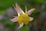 2010_06_03_016.JPG