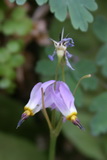 2010_06_03_017.JPG