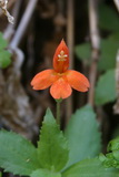 2010_06_03_022.JPG