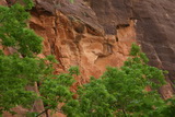 2010_06_03_027.JPG