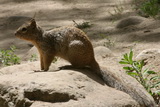 2010_06_03_035.JPG