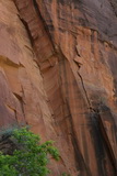 2010_06_03_043.JPG