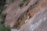 2010_06_03_063.JPG