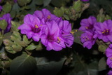 2010_06_03_113.JPG