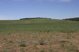 2010_06_04_027.JPG