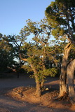 2010_06_04_094.JPG