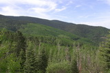 2010_06_07_006.JPG