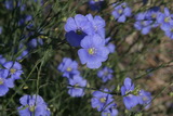 2010_06_09_002.JPG