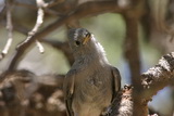 2010_06_10_009.JPG