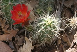 2010_06_13_111.JPG