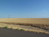 2011_07_06_019.JPG