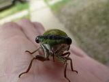 2011_07_17_004.JPG