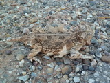 2011_07_22_070.JPG