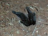 2011_07_22_076.JPG