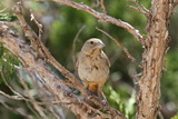 2011_07_23_048.JPG