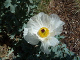 2011_07_23_073.JPG