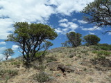 2011_07_23_078.JPG