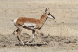 2011_07_23_091.JPG