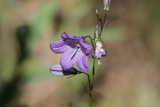 2011_07_24_022.JPG