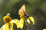 2011_07_24_069.JPG