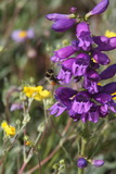 2011_07_24_147.JPG