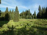 2011_07_24_206.JPG