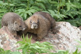 2011_07_25_036.JPG