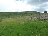 2011_07_26_066.JPG