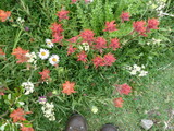 2011_07_26_100.JPG