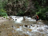 2011_07_27_051.JPG