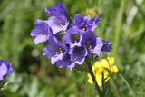 2011_07_27_131.JPG