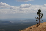 2011_07_29_098.JPG